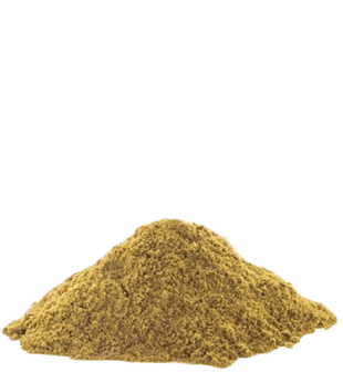 White Cumin